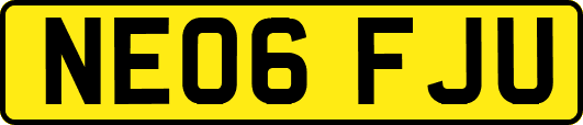 NE06FJU