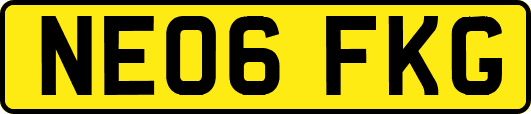 NE06FKG