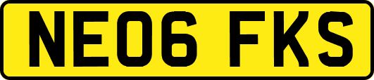 NE06FKS