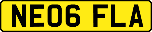 NE06FLA