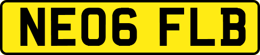 NE06FLB
