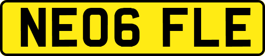 NE06FLE