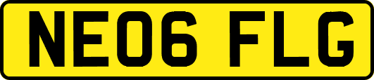 NE06FLG
