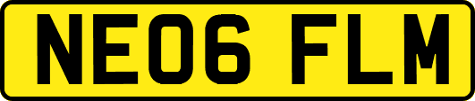 NE06FLM