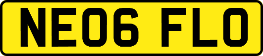 NE06FLO