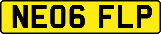 NE06FLP