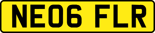 NE06FLR