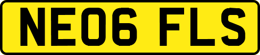 NE06FLS
