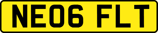 NE06FLT