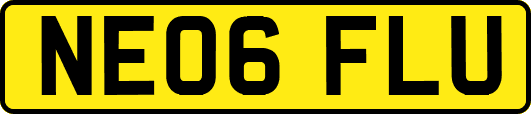 NE06FLU