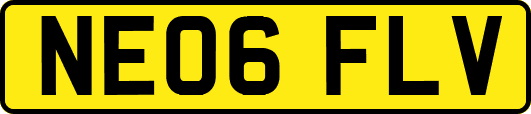 NE06FLV
