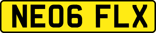 NE06FLX