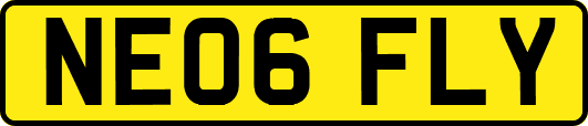 NE06FLY
