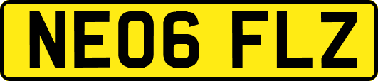 NE06FLZ