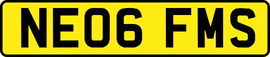 NE06FMS