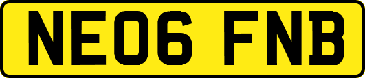NE06FNB