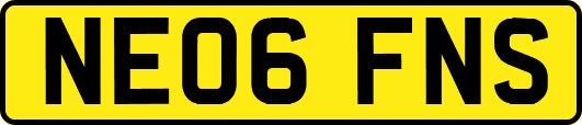 NE06FNS