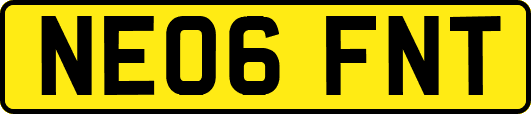 NE06FNT