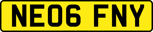 NE06FNY
