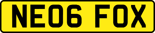 NE06FOX