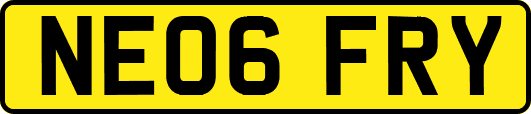 NE06FRY