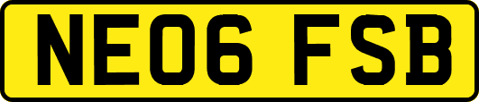 NE06FSB