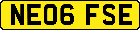 NE06FSE