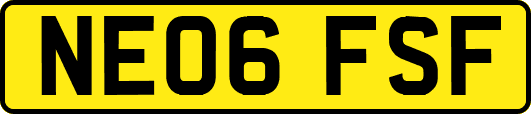 NE06FSF