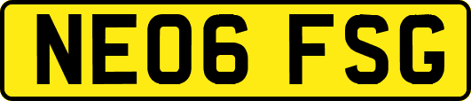 NE06FSG