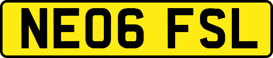 NE06FSL