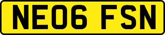 NE06FSN