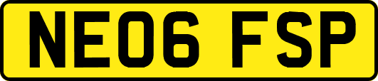 NE06FSP
