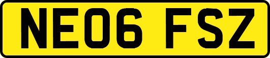 NE06FSZ