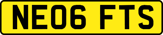 NE06FTS