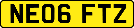 NE06FTZ
