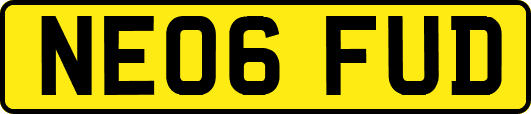 NE06FUD