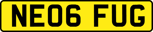 NE06FUG