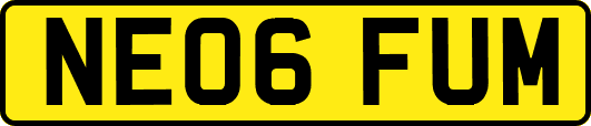 NE06FUM