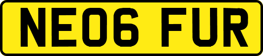 NE06FUR