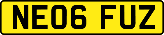 NE06FUZ
