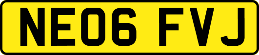 NE06FVJ