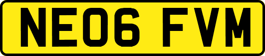NE06FVM