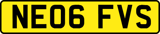 NE06FVS