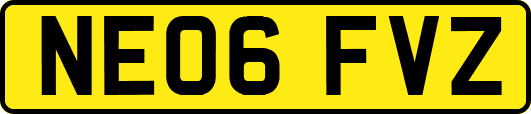 NE06FVZ