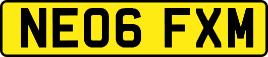 NE06FXM