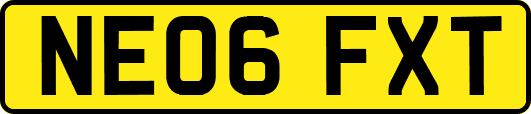 NE06FXT