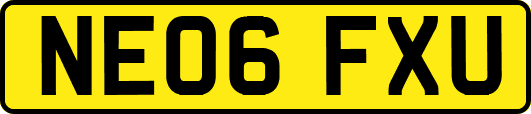 NE06FXU