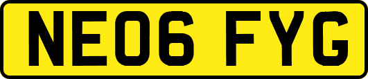 NE06FYG