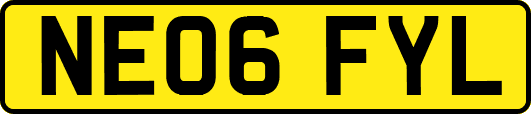 NE06FYL