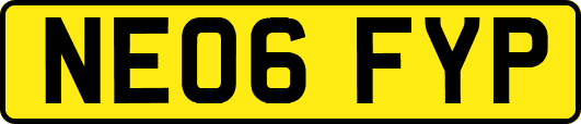 NE06FYP